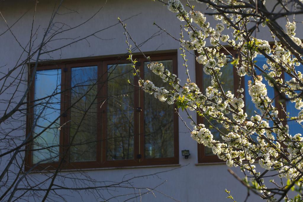 Farah Superior Apartments Bihac Bagian luar foto